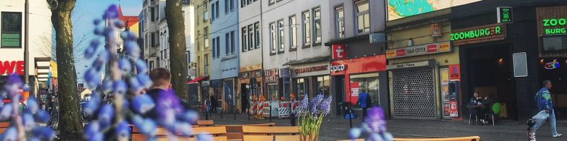Das passiert am Ziegenmarkt