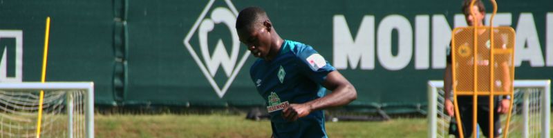 Werder-Transfers 2018/2019: Die Abgänge bisher