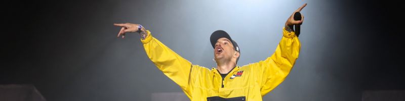Casper auf dem Deichbrand