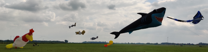 Drachenflieger, Fischbrötchen und Straßenmusiker