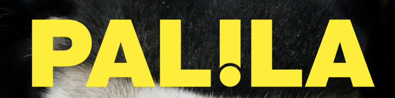 Palila – Rock’n’Roll Sadness