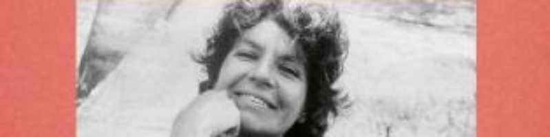 W-3 von Bette Howland, btb 2026